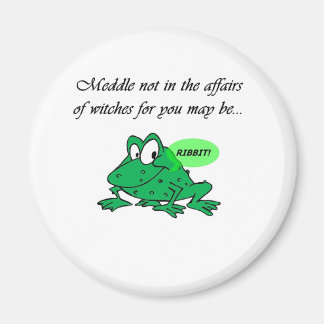 Meddle not in the affairs of witches magnet