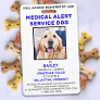 Medical Alert Service Dog Photo ID Badge