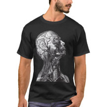 Medical Anatomy Head Neck Vintage