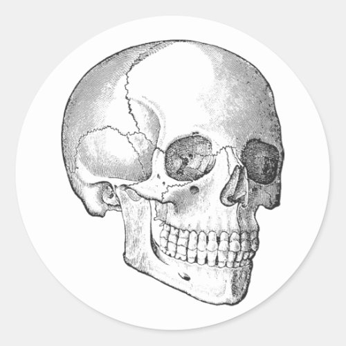 Medical anatomy vintage skull drawing monochrome classic round sticker