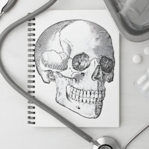 Medical anatomy vintage skull drawing monochrome notebook