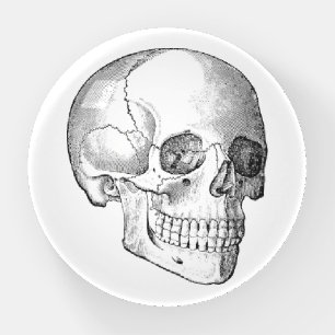 Medical anatomy vintage skull drawing monochrome paperweight