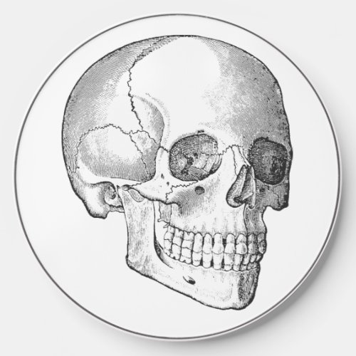 Medical anatomy vintage skull drawing monochrome wireless charger 