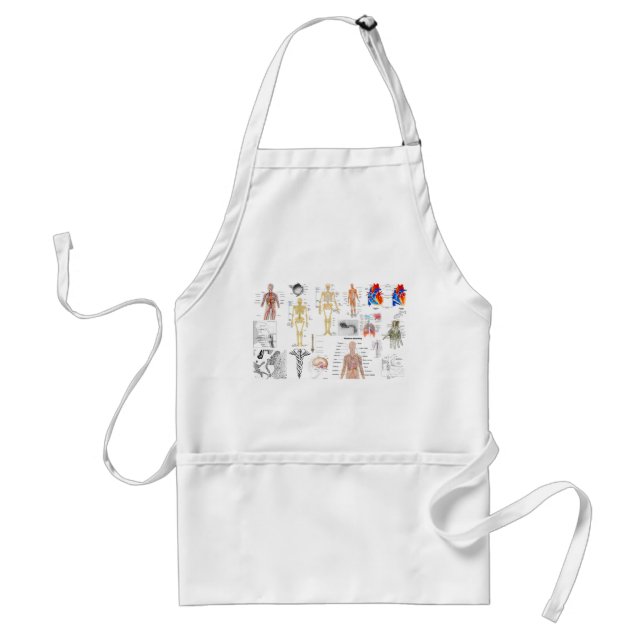Medical Charts full color Adult Apron (Front)