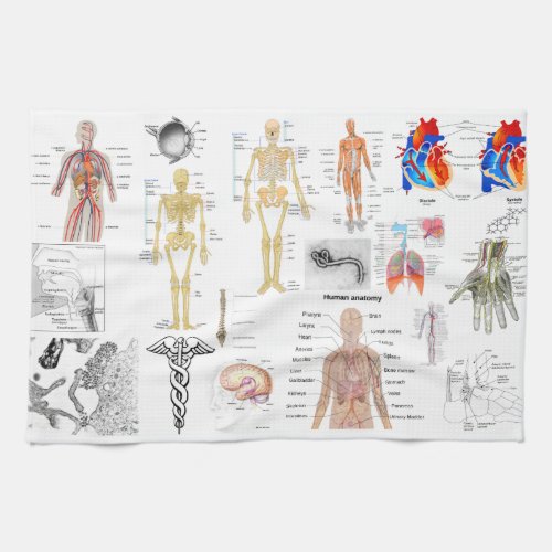 Medical Charts full color Kitchen Towel