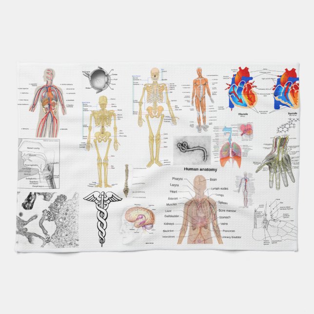 Medical Charts full color Kitchen Towel (Horizontal)