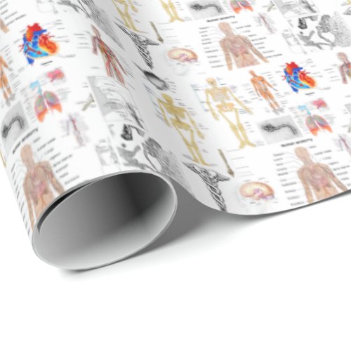 Medical Charts full color Wrapping Paper