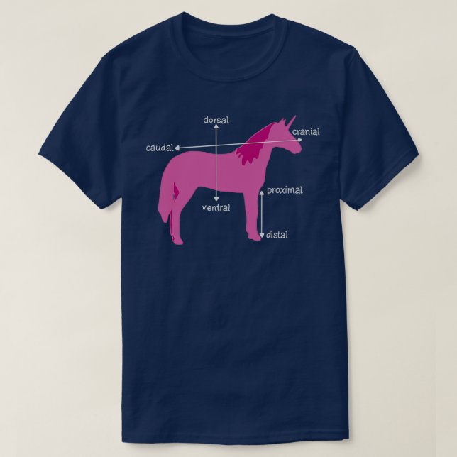 Medical Dimensions Explained On A Unicorn T-Shirt (Design Front)