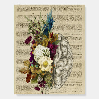 medical floral brain anatomy poster