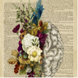 medical floral brain anatomy poster cutout<br><div class="desc">flowers,  flower,  roses,  rose,  page,  book,  dictionary,  directory,  brain,  white,  human,  vintage,  anatomy,  health,  medical,  science,  biology,  engraving,  black,  old,  graphic,  etching,  antique,  line,  body,  engraved,  head,  education,  mind,  side,  intelligence,  nervous,  monochrome,  person,  symbol,  3d,  style,  light,  brown,  retro,  sketch,  color,  doctor,  nurse,  clinic</div>