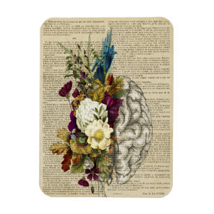 medical floral brain anatomy poster magnet