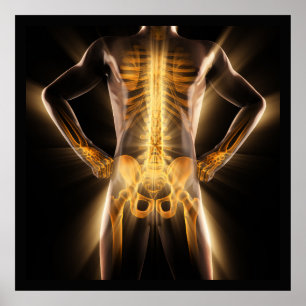 Medical Glowing Radiography Scan Human Bones Poster