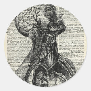 Medical Human Anatomy Classic Round Sticker