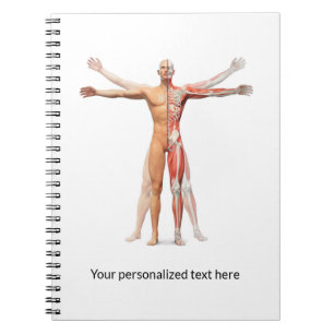 Medical Human Body Skeleton Muscles - Notebook