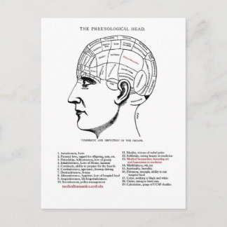 Medical Humanities Phrenology Postcard
