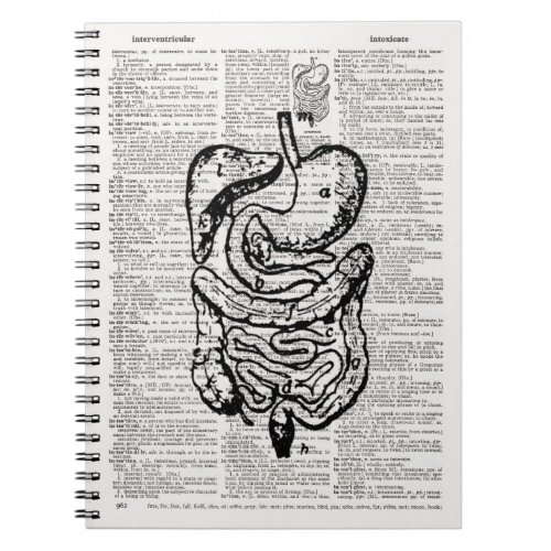 Medical Illustration Dictionary Art Notebook