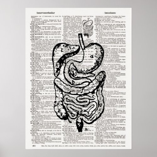 Medical Illustration Dictionary Art Poster