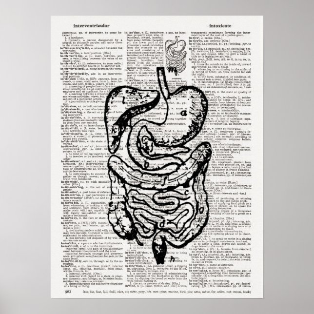 Medical Illustration Dictionary Art Poster (Front)