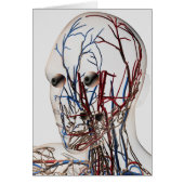Medical Illustration Of Head Arteries 2 (Front)