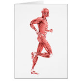 Medical Illustration Of Male Muscles Running 2 (Front)
