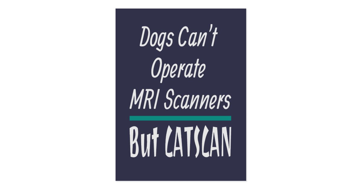 Medical Joke Dogs And Cats Dad Joke Funny Postcard Zazzle Com