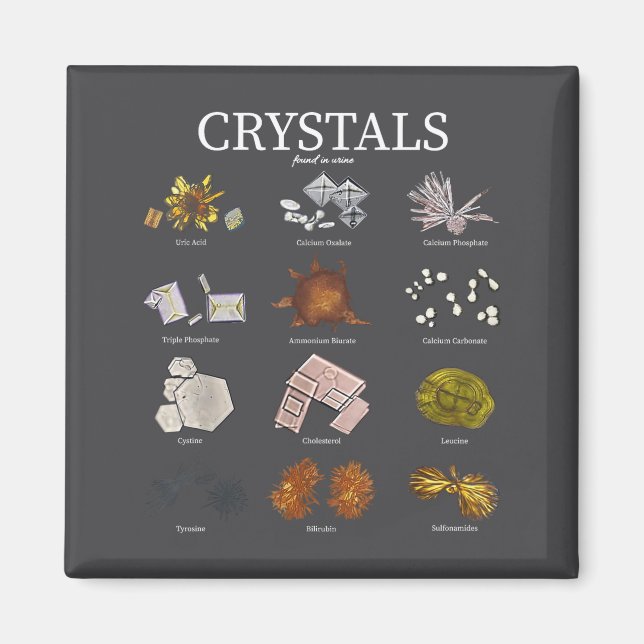Medical Lab Urine Crystal Laboratory Tech Science  Magnet (Front)