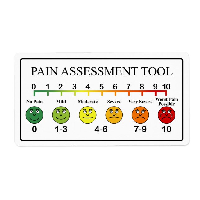 Medical Pain Assessment Tool Chart Label (Front)