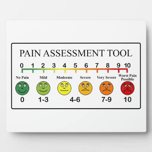 Medical Pain Assessment Tool Chart Plaque