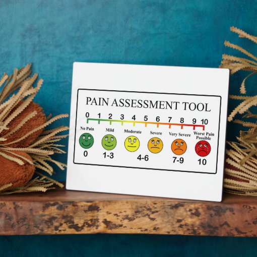 Medical Pain Assessment Tool Chart Plaque Zazzle