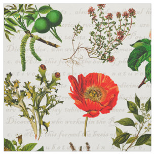 Medical Pharmaceutical Herbs Flowers Herbarium Fabric