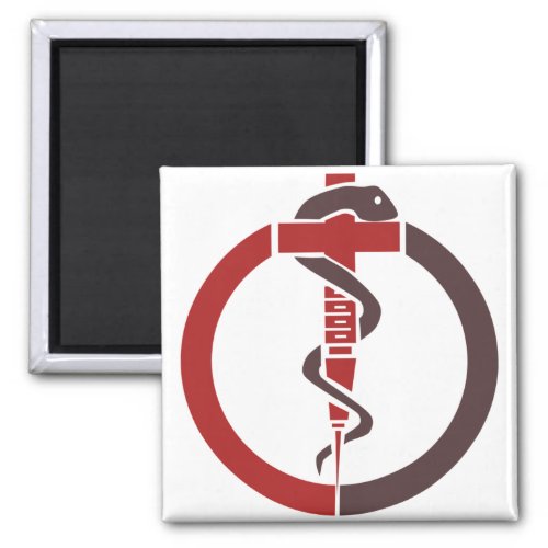 Medical Syringe and Snake Magnet