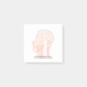 Medical Theme Ear Nose Throat Doctor Post-it Notes