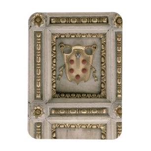 Medici coat of arms, from the soffit of the church magnet