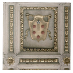 Medici coat of arms, from the soffit of the church tile