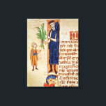 Medicinal Plants Canvas Print<br><div class="desc">French School's Ms 413 f.92v Medicinal Plants, illustration from 'Traite de Medecine' by Claudius Galenus (c.130-c.201) translated by Gerard de Cremone (1114-87) located at the Bibliotheque Municipale, Laon, France. The Ms 413 f.92v Medicinal Plants, illustration from 'Traite de Medecine' by Claudius Galenus (c.130-c.201) translated by Gerard de Cremone (1114-87) was...</div>