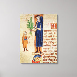 Medicinal Plants Canvas Print