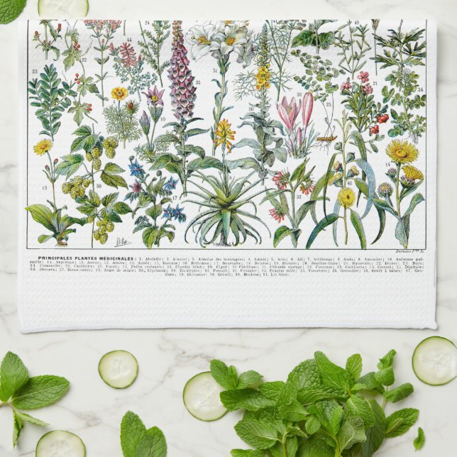 Medicinal Plants & Flowers by Adolphe Millot Kitchen Towel (Folded)