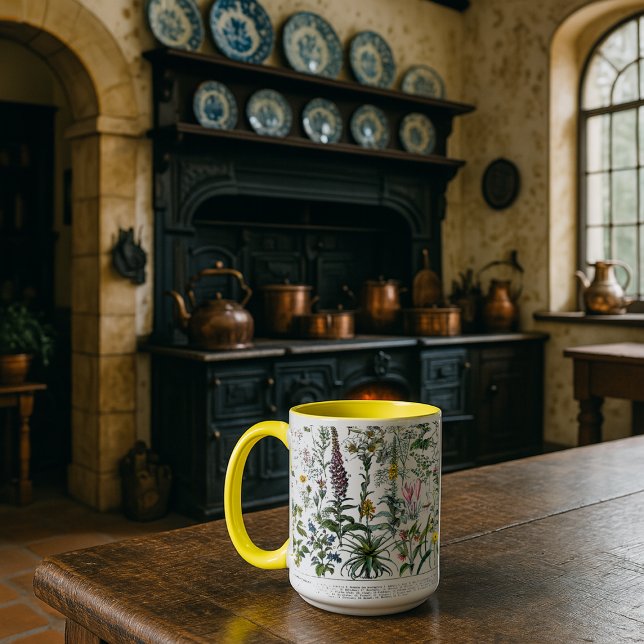 Medicinal Plants & Flowers by Adolphe Millot Mug (Creator Uploaded)