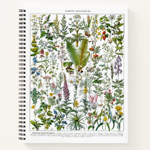 Medicinal Plants  Flowers by Adolphe Millot Notebook