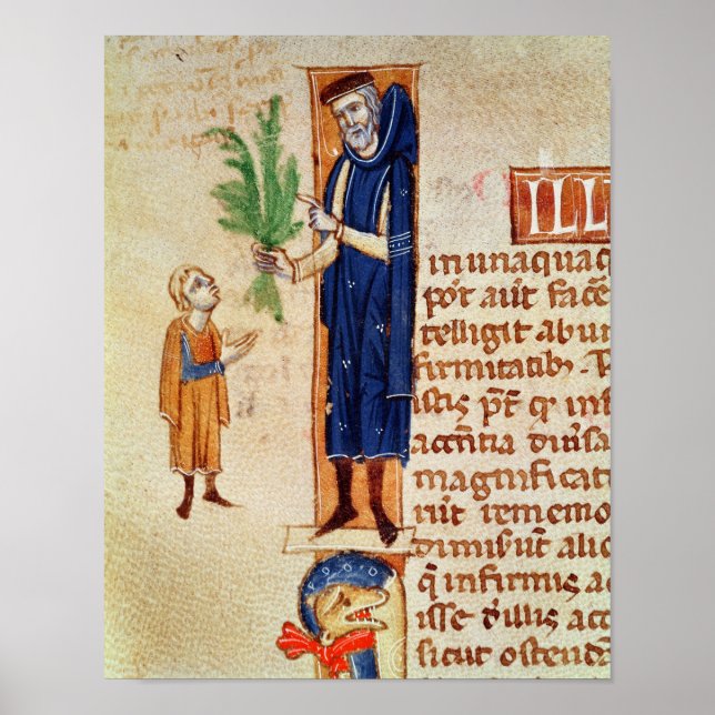 Medicinal Plants Poster (Front)