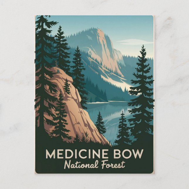Medicine Bow National Forest Vintage Postcard (Front)