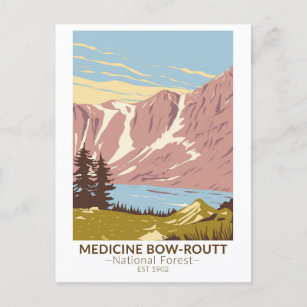 Medicine Bow - Routt National Forest Vintage Postcard