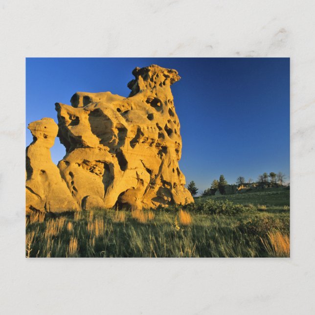 Medicine Rocks State Park near Ekalaka Montana Postcard (Front)