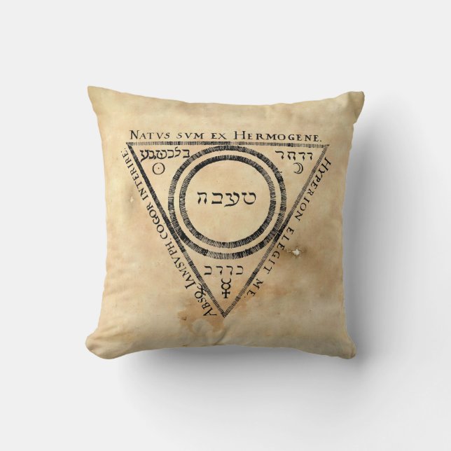 Medieval Alchemy Twelve Keys Book Illustration Throw Pillow (Front)