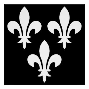 Medieval Banner of France Poster