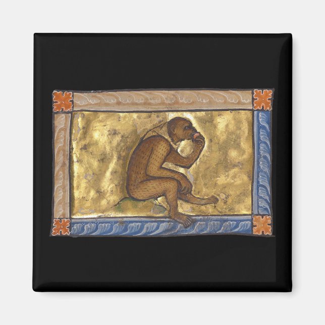 Medieval Bestiary Monkey c. 1270 Magnet (Front)