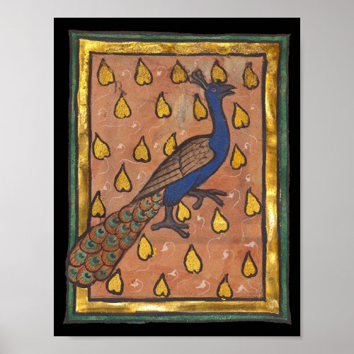Medieval Bestiary Peacock c. 1270 Poster