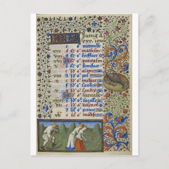 Medieval calendar: June Postcard (Front)