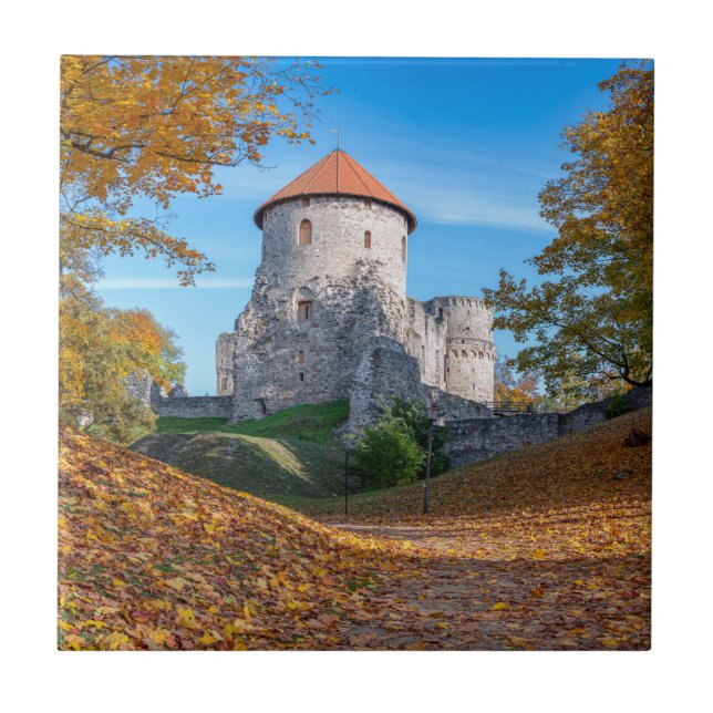 Medieval castle surrounded by forest ceramic tile (Front)