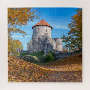 Medieval castle surrounded by forest jigsaw puzzle